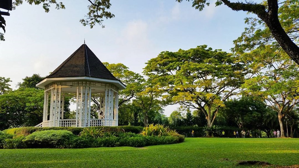 Going Green: 8 Parks for Nature Enthusiasts in Singapore – Visit.tips